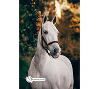 Das kleine karierte Buch - Taschenbuch, Notizbuch - kariert mit Skizzenseiten zum Schreiben und Zeichnen von Seraphiiia-Design | Ideal als Tagebuch, ... Notizheft, To-Do-Buch, Gedankenbuch