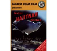 Das Leben der Möwen [DVD] (2005)