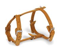 Das Lederband Dog Leather Harness Toronto Cognac/Cognac, Multiple Sizes, NEW