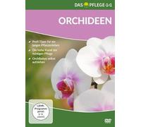 Das Pflege-1x1 Orchideen [Import allemand]