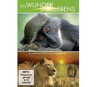 Das Wunder Unseres Lebens