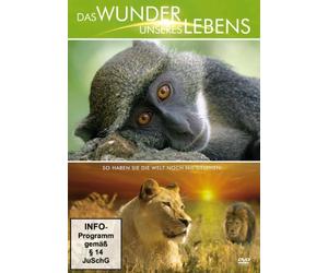 Das Wunder unseres Lebens