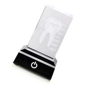 Dasbsug Human Organs Model Lasering Etch Crystal Anatomical Heart/Teeth Figurine Led Base Science Biology Medial Surgeon Gift Glass Paperweight