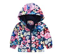 DASHadao 2023 Toddler Fall Hooded Jackets Lightweight Cute Dinosaur Print Coats Baby Boys Girls Long Sleeve Windproof Outwear