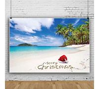 DaShan 10x6.5ft Tropical Beach Christmas Party Backdrop Santa Hat Seaside Merry Christmas Photography Background Palm Trees Holidays Travel Christmas New Year Party Kids Children Photo Studio Props