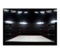 DaShan 7x5ft Boxing Ring Backdrop Squared Circle Contest Event Arena Photography Background Sports Theme Backdrops Boxer Infighter Boys Men Portrait Photo Booth Props