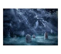 DASHAN 8x6.5ft Witch Haunted Forest Scary Halloween Backdrop Cemetery Graveyard Ghost Horrible Gloomy Misty Wood Creepy Photography Background Wizard Sorcerer Theme Kids Halloween YouTube Photo Props