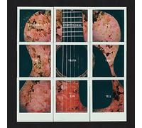 Dashboard Confessional - All The Truth That I Can Tell [VINYL]