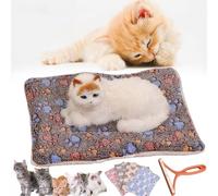 DASHENRAN Cozy Calming Cat Blanket, Cozy Calming Cat Blankets for Indoor Cats, Cozy Cat Calming Blanket, Cozy Calming Cat Blanket for Anxiety and Stress (XXL,C)