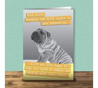 Dashing Good Looks In Tact - Funny Birthday Card