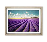Dashing Lavender Flower Field H1022 Framed Print for Living Room Bedroom Home Office Décor, Wall Art Picture Ready to Hang, Oak A3 Frame (46 x 34 cm)
