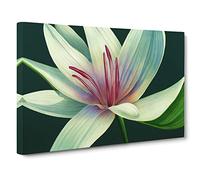 Dashing Lily Flower Canvas Print | Gallery Wrapped 30mm Frame Wall Art | 30x20 inches | Ready to Hang | Contemporary Floral Picture | Living Room Bedroom Lounge Office
