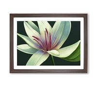 Dashing Lily Flower H1022 Framed Print for Living Room Bedroom Home Office Décor, Wall Art Picture Ready to Hang, Walnut A4 Frame (34 x 25 cm)