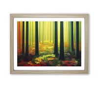 Dashing Spring Forest Framed Print | A2 Oak Framed Wall Art | Ready to Hang | Modern Landscape Picture | Living Room Bedroom Lounge Office
