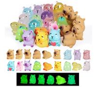 DASHUAIGE 24 Pcs Mini Capybara Figurines, Glow in Dark Resin Animals for Dollhouse Garden Decor, Cute Collectible Miniatures for DIY Crafts