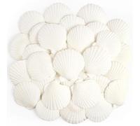 DasKid 20PCS Large Sea Shells, 6-8CM Natural White Scallop Shells for Crafts, DIY Vase Filler, Fish Tank Decor, Beach Decorations, Baking & Home Décor