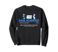 Data Scientist Definition Statistics Analytics Career Humor Sweatshirt