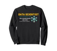 Data Scientist Definition Statistics Analytics Career Humor Sweatshirt