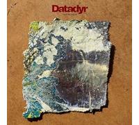 DATADYR - THIS WE KNOW (RANDOM COLOUR VINYL) [VINYL]