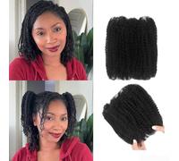 Datanala Afro Kinkys Bulk Human Hair 100% Natural Black Human Hair For Dreadlocks Extensions, Locs Repair, Crochet Braiding Hair (Natural Black, 12Inch 30g/Packs (Pack of 2))