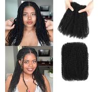 Datanala Afro Kinkys Bulk Human Hair 100% Natural Black Human Hair For Dreadlocks Extensions, Locs Repair, Crochet Braiding Hair (Natural Black, 18Inch 30g/2Packs (Pack of 2))