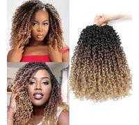 Datanala Yanky Twists Crochet Braiding Hair 10 Inch 9 Packs Crochet Hair with Curls Micro Spring Twists Pre-looped Curly Braids Extensions for Women (1B/30/27, 10inch)