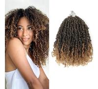 Datanala Yanky Twists Crochet Braiding Hair 10 Inch 9 Packs Micro Spring Twists Crochet Hair Pre-looped Curly Crochet Braids Hair Extensions for Women (T27#, 10inch)