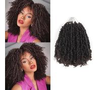 Datanala Yanky Twists Crochet Braiding Hair 12 Inch 9 Packs Pre-twisted Passion Twist Crochet Hair with Curls Micro Spring Twists Pre-looped Curly for Women (4#)