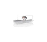 DataWax Snowboard Scraper Acrylic Colour: No Colour, Size: No Size