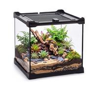 DaToo Reptile Glass Terrarium Small Reptile Tank Jumping Spider Habitat Insect Enclosure Snail Gecko Terrarium Praying Mantis Habitat with Top Screen Ventilation 360° Clear View Escape Proof