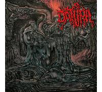 Datura - The Amplitudes Of Pacificacion