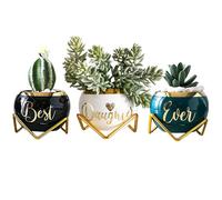 Daughter Gifts from Mom, Birthday Gift for Daughter, Mother Daughter Gifts, Happy Birthday Daughter, Best Daughter Ever Gift, Daughter In Law Gifts, Birthday Gifts for Daughter Adult, 3 Succulent Pots