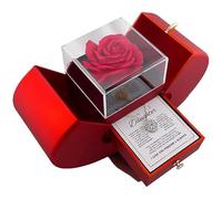 Daughter’s Lucky Clover Necklace Keepsake Gift Set, Foldable 4 Leaf Clover Necklace, Eternal Flowers Rose Birthday Gifts for My Daughter Birthday Gifts (Silver)