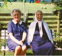 Dauwd - Theory of Colours