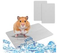 DAVBNM 2 PCS Rabbit Cooling Pad, 12 * 8cm Hamster Cooling Mat Pet Cool Plate for Rabbit Bunny Hamster Guinea Pig Small Pets Stay Cool This Summer