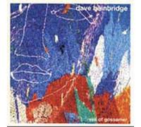 DAVE BAINBRIDGE - Veil of Gossamer by DAVE BAINBRIDGE (2005-03-08)