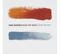 Dave Barnes - What We Want What We Got