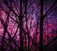 Dave Bessell - Reality Engine