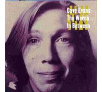 Dave Evans - The Words In Between