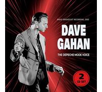 Dave Gahan - The Depeche Mode Voice (2cd)