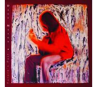 Dave Mason Future's Past (CD) (US IMPORT)