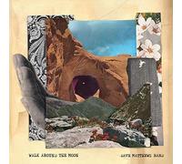 Dave Matthews Band - Walk Around the Moon [VINYL]