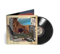 Dave Matthews Band - Walk Around the Moon [VINYL]