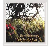 Dave Monterey - Fire in the Sun