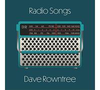 DAVE ROWNTREE - RADIO SONGS - New Vinyl Record - 30 - P1398z