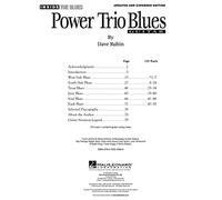 Dave Rubin Power Trio Blues Updated & Expanded Edition Gtr Book/Cd: Blues Guitar Styles from the West Side of Chicago to Texas and Beyond (Inside the Blues)