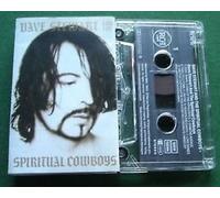 Dave Stewart and the Spiritual Cowboys - Dave Stewart and the Spiritual Cowboys