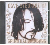 Dave Stewart & Spiritual Cowboys - Dave Stewart & The Spiritual Cowboys