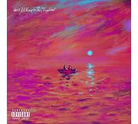 Dave - We're All Alone In This Together [VINYL]