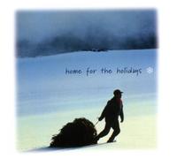 Dave Williamson - Home for the Holidays